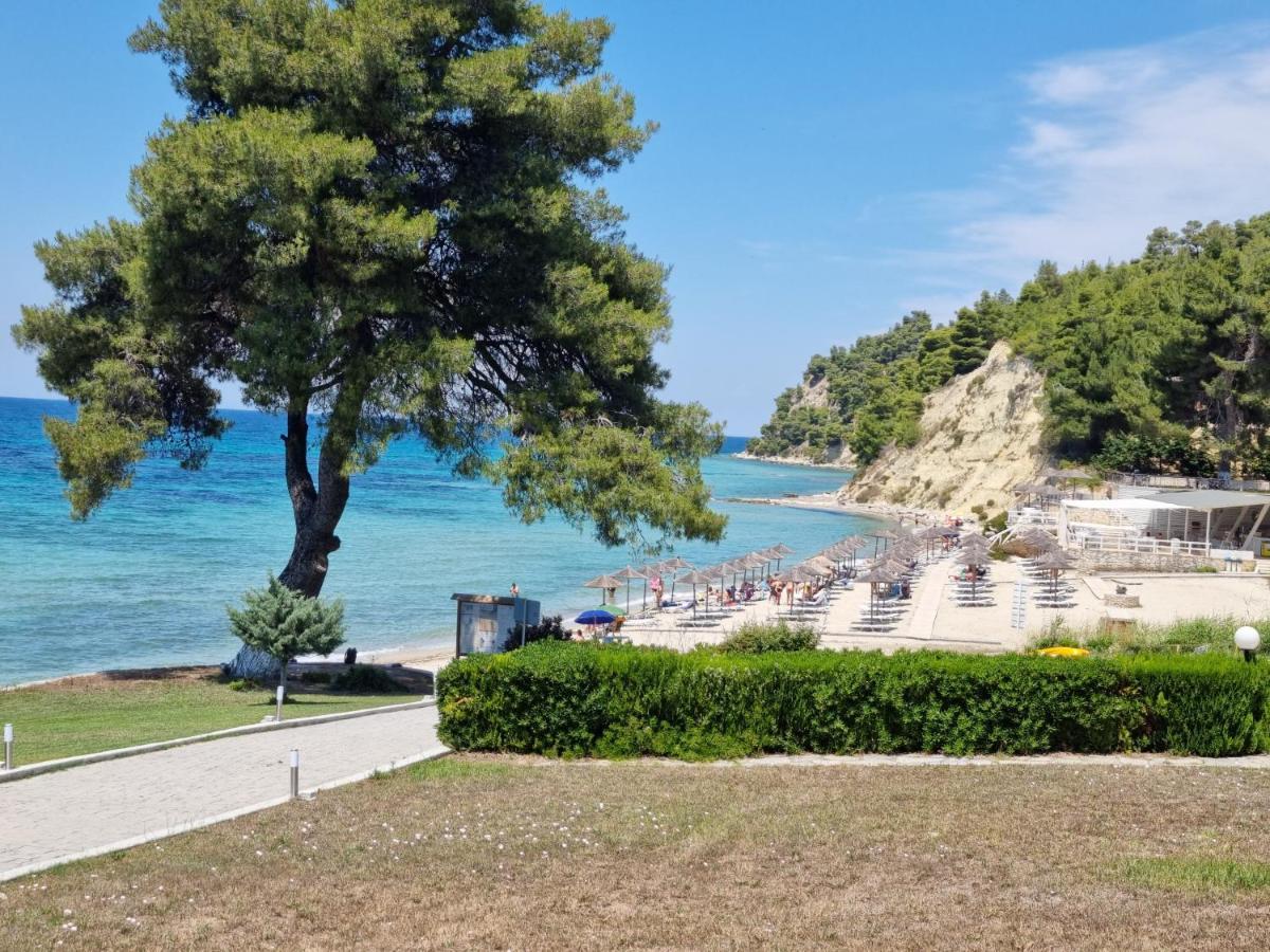 Beachfront Villa 100M From Sea For Up To 10 Guests Siviri Exterior foto