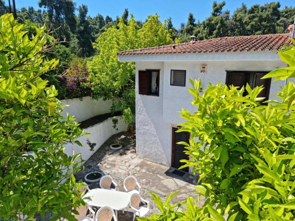 Beachfront Villa 100M From Sea For Up To 10 Guests Siviri Exterior foto
